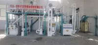 10噸玉米糝、粉聯(lián)產生產線  日產